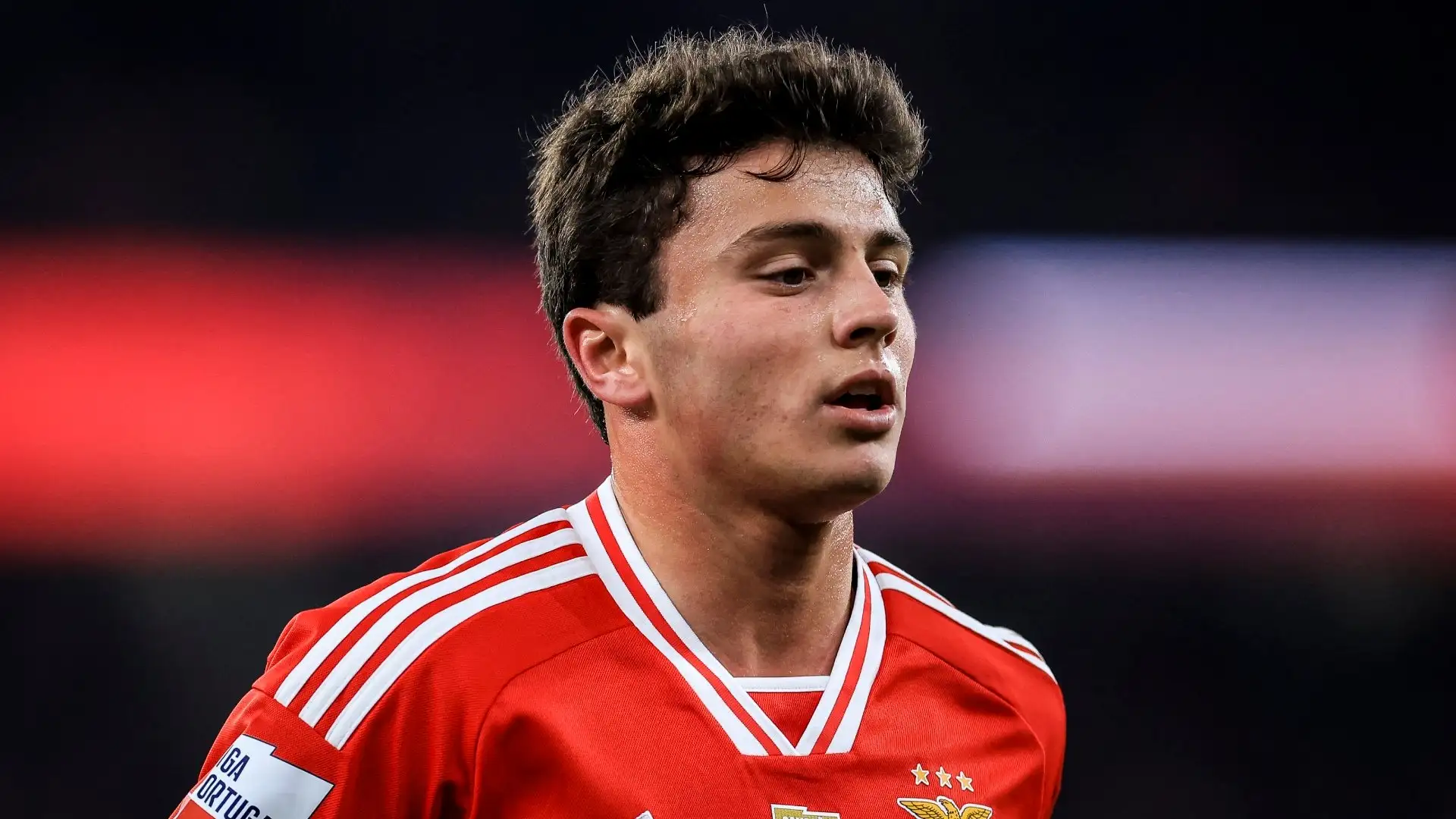 João Neves Player Profile & Stats: All You Need to Know João Neves Player Profile & Stats: All You Need to Know
